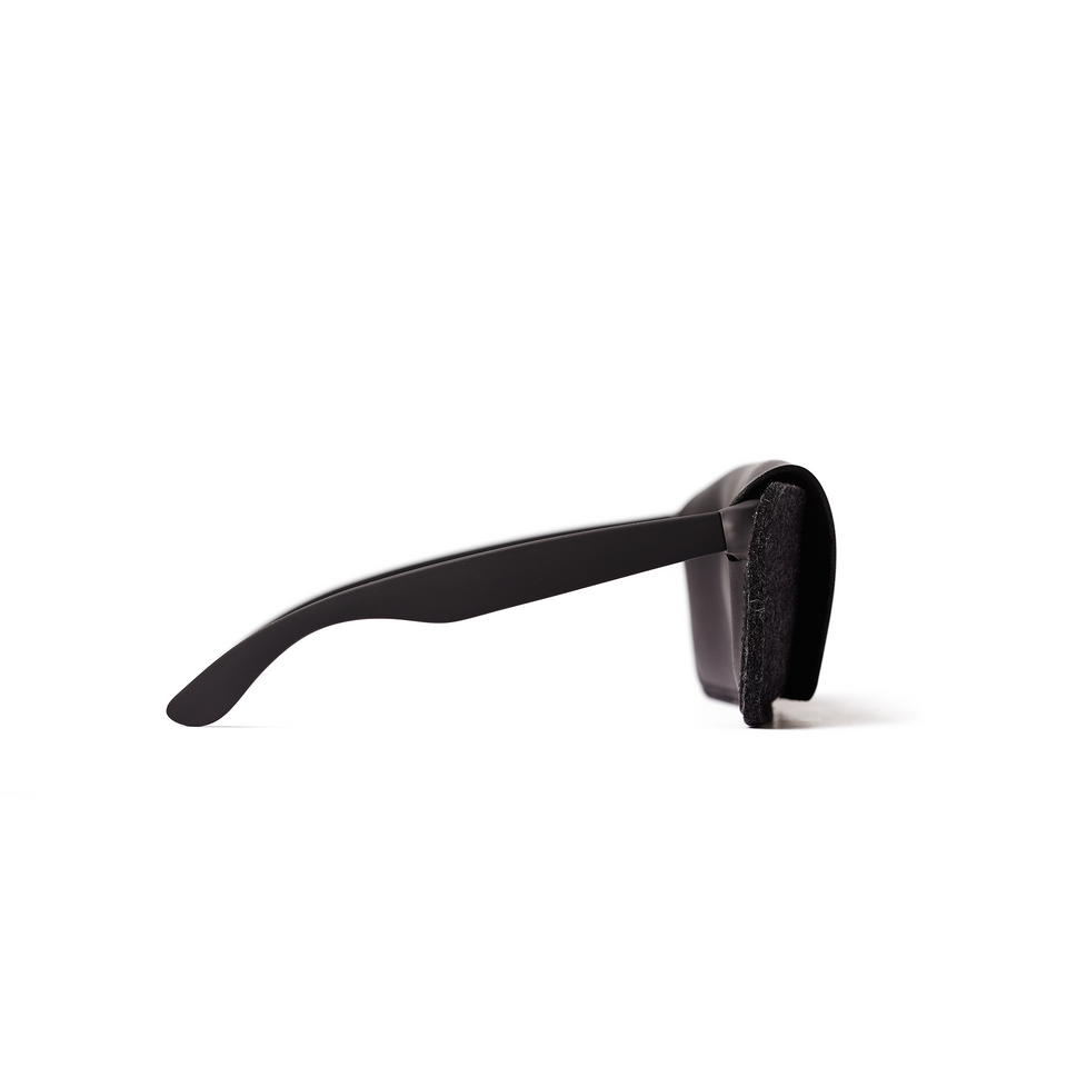 Black leather and felt sunglass case on white background